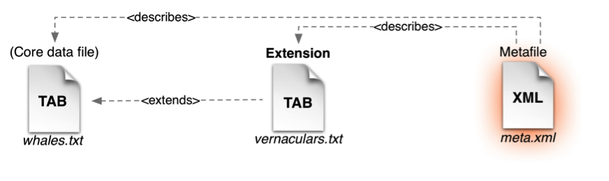 The metafile describes the file names and fields in the core and extension files