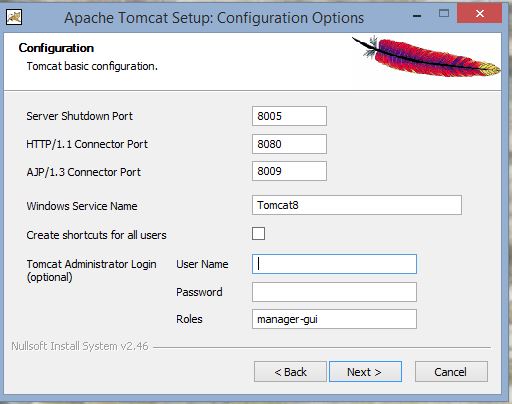 Opciones de configuración de la instalación de Apache Tomcat 