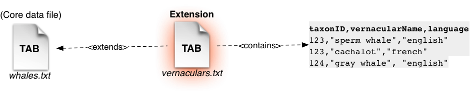 Una extensión se vincula con el archivo central mediante el ID en común del taxón